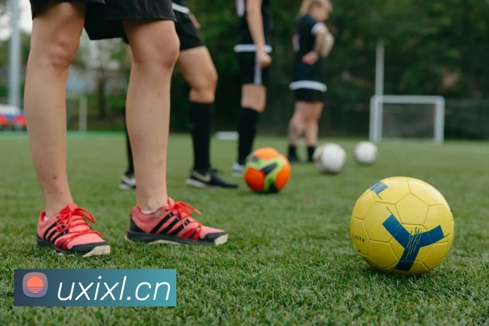 leyu乐鱼官方官网全站App